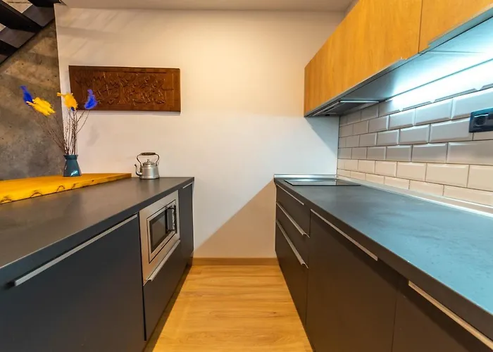 Eco-lotf Vegueta * 大加那利岛拉斯帕尔马斯